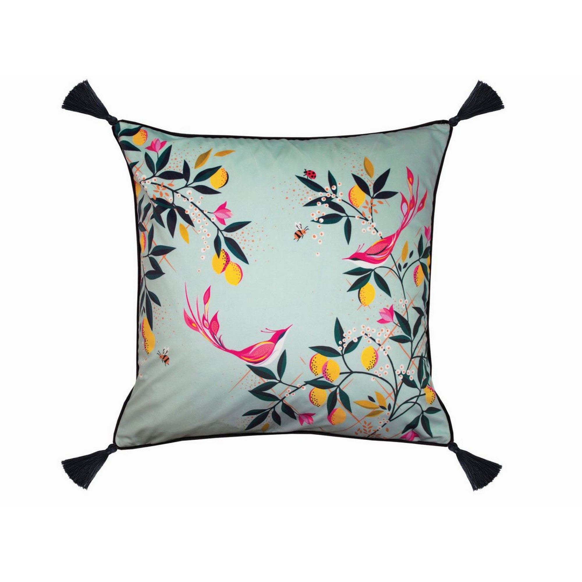 Duckegg Bird Feather Cushion By Sara Miller